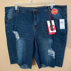 High Rise Bermuda Blue Jean Shorts